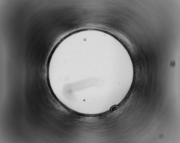 X0000103411280200810241200