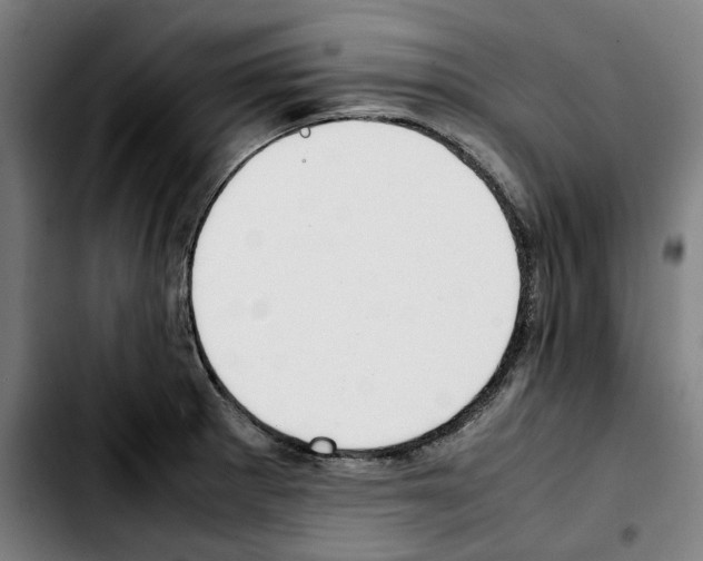 X0000103411281200810241200