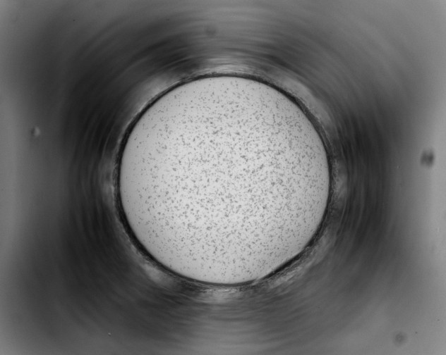 X0000103411282200810241200