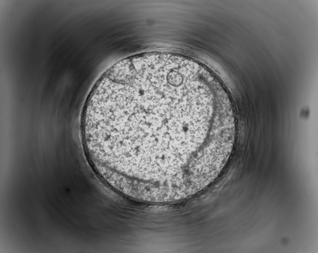 X0000103411283200810241200