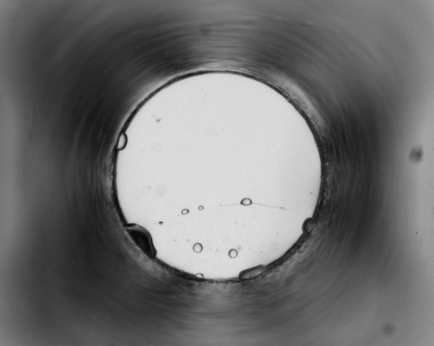 X0000103411284200810241200