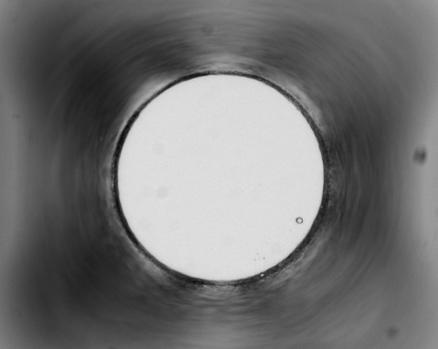 X0000103411285200810241200