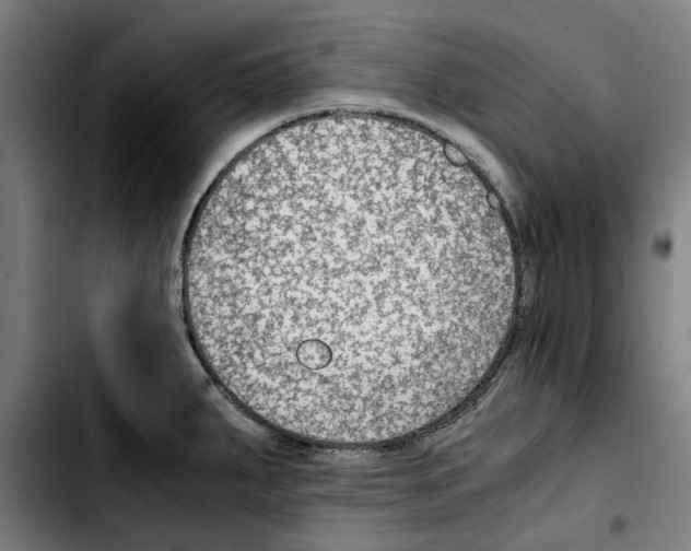 X0000103411287200810241200