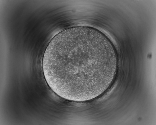 X0000103411289200810241200