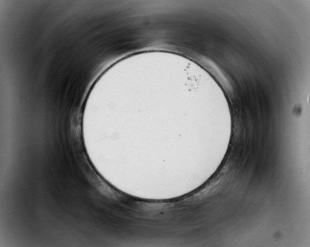 X0000103411292200810241159