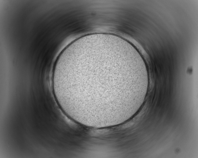 X0000103411294200810241159