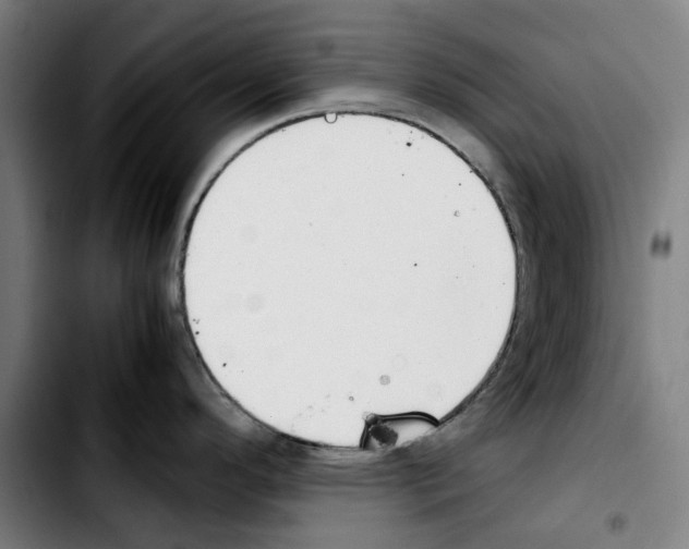 X0000103411296200810241159