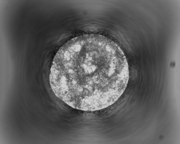 X0000103411297200810241159