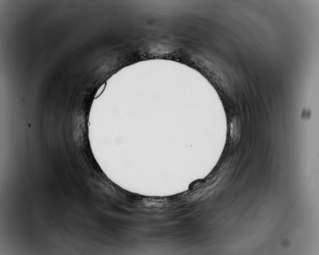 X0000103411299200810241159