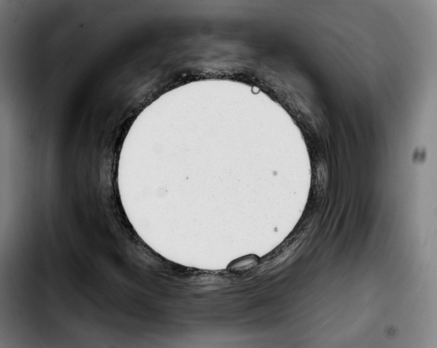 X0000103411300200810241159