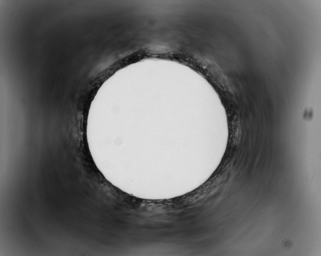 X0000103411301200810241159