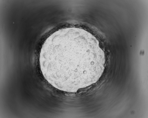 X0000103411302200810241159