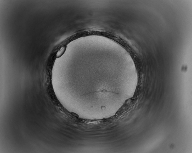 X0000103411303200810241159