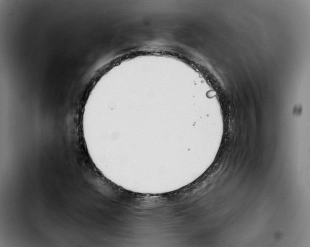 X0000103411304200810241159