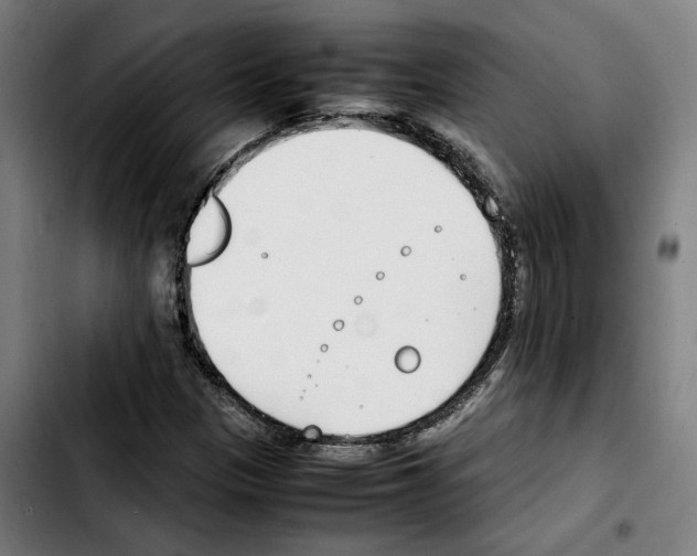 X0000103411305200810241159