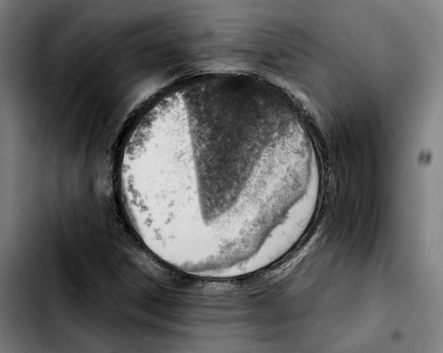 X0000103411306200810241159