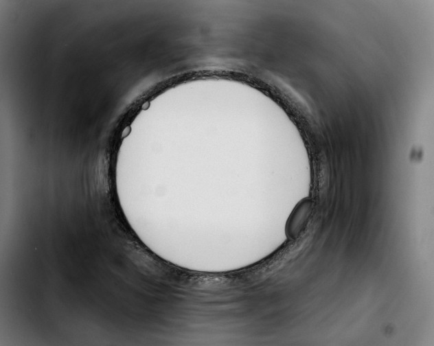 X0000103411310200810241159