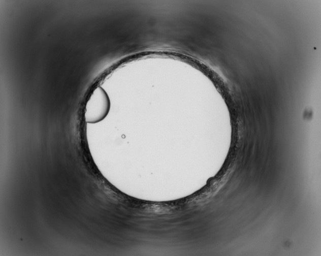 X0000103411311200810241159