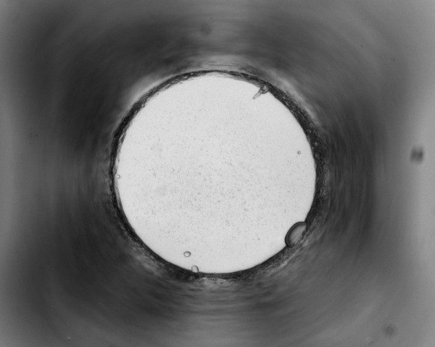 X0000103411312200810241159