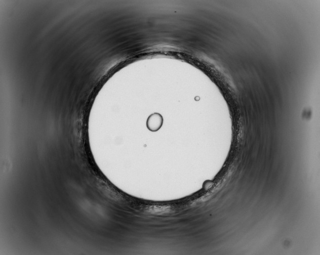 X0000103411313200810241159