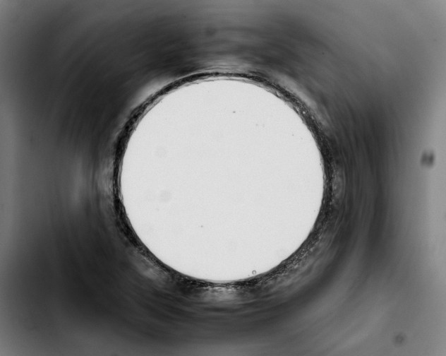 X0000103411315200810241159