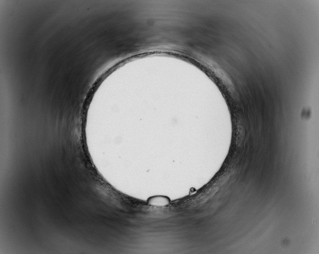 X0000103411316200810241159