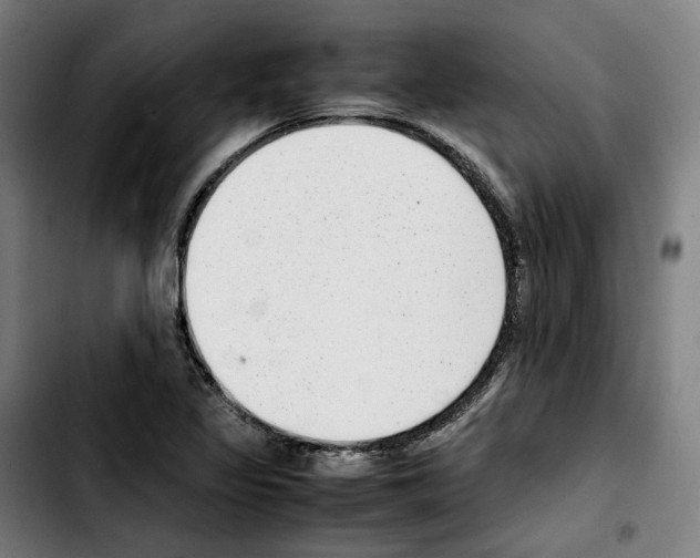 X0000103411317200810241159