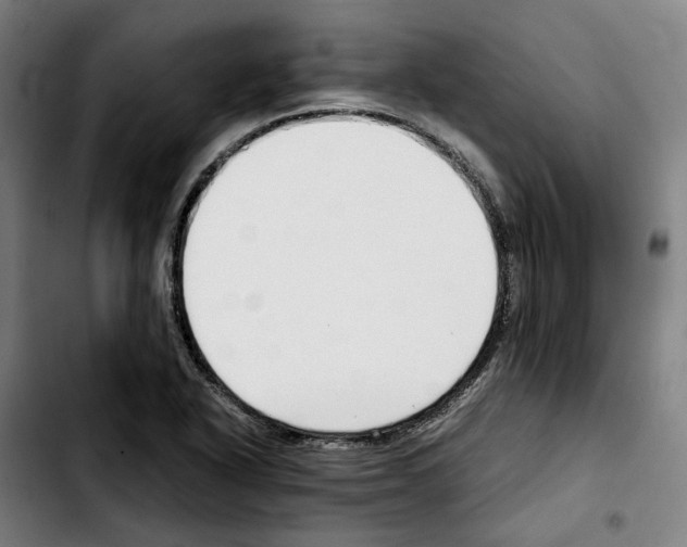 X0000103411318200810241159