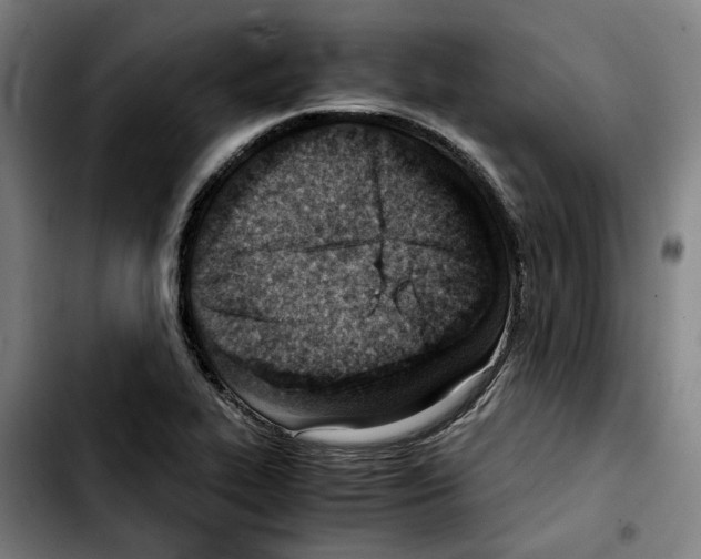 X0000103411319200810241159