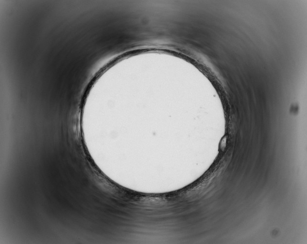 X0000103411320200810241159