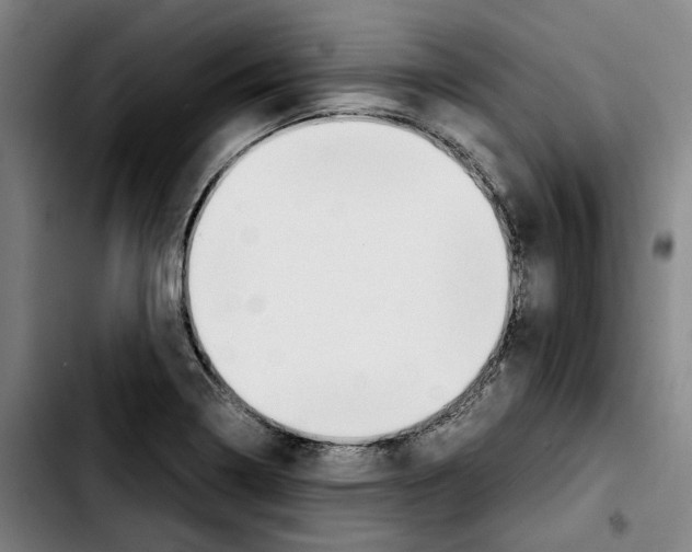 X0000103411322200810241159