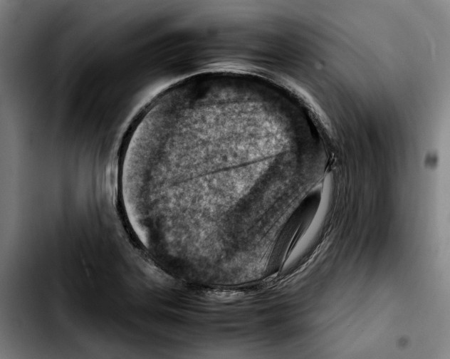 X0000103411323200810241159