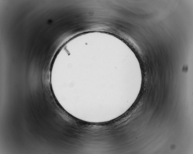 X0000103411324200810241159