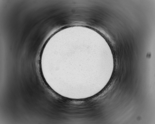 X0000103411325200810241159