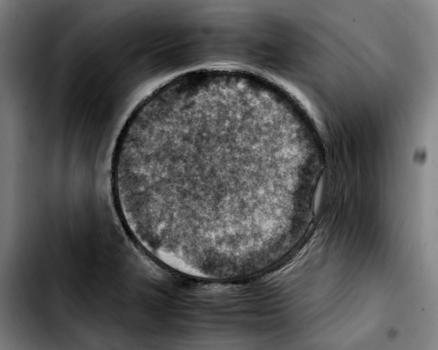 X0000103411327200810241159