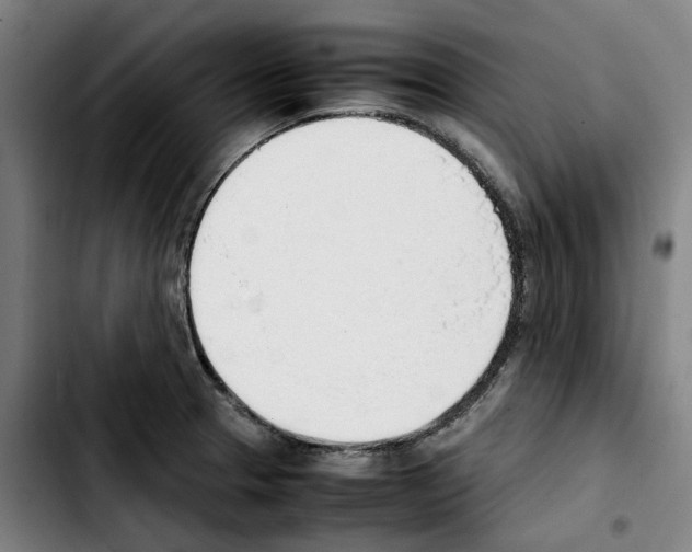 X0000103411329200810241159