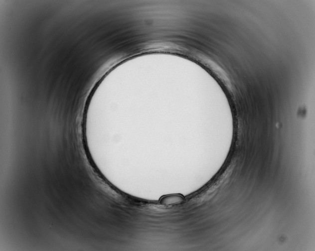 X0000103411330200810241159