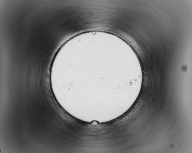 X0000103411332200810241159