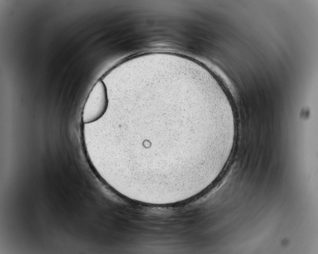 X0000103411333200810241159