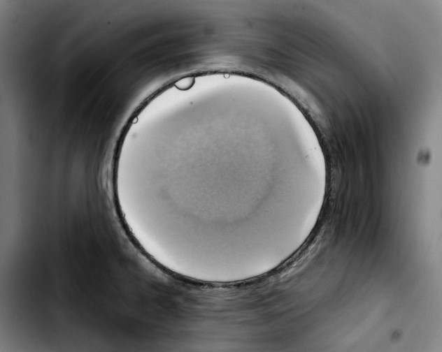 X0000103411334200810241159