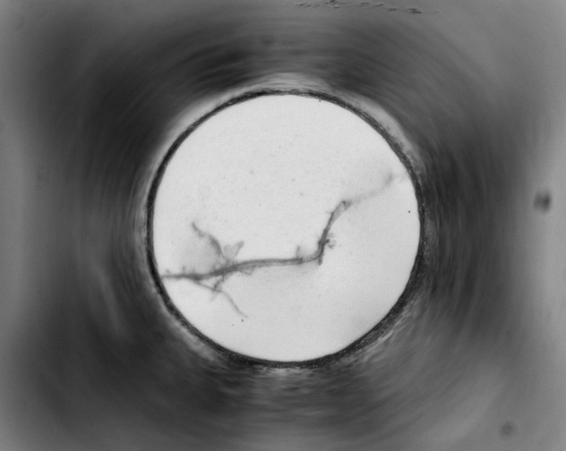 X0000103411335200810241159