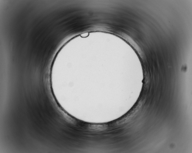 X0000103411339200810241159