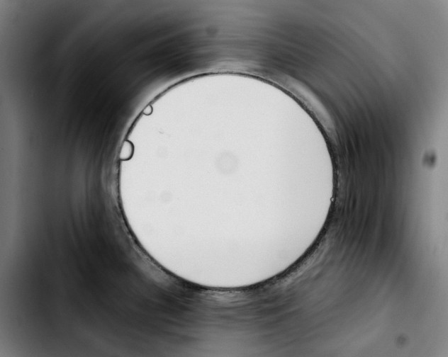 X0000103411340200810241159