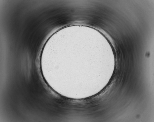 X0000103411341200810241159