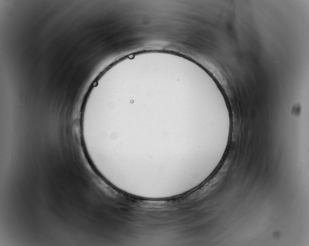 X0000103411342200810241159