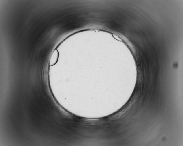 X0000103411343200810241159