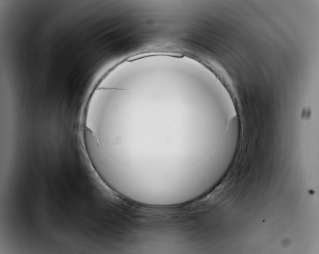 X0000103411344200810241159