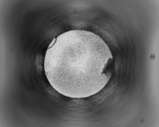 X0000103411346200810241159