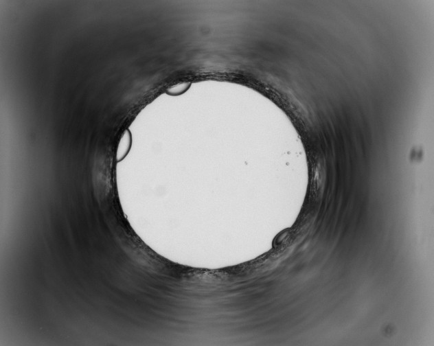 X0000103411348200810241159