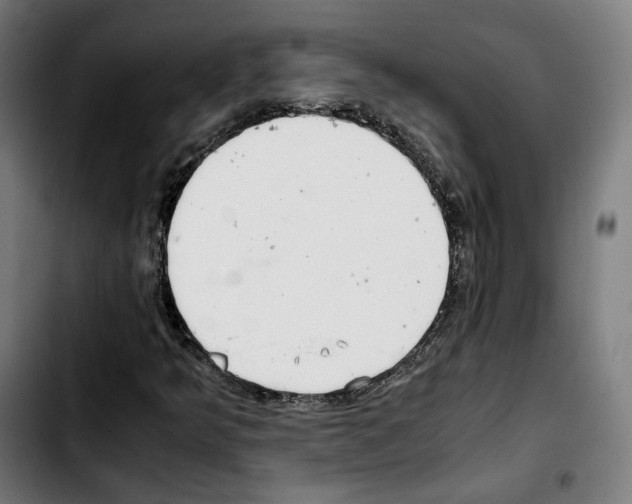 X0000103411349200810241159